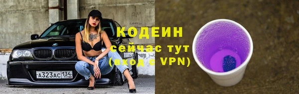 прущий лед Арсеньев