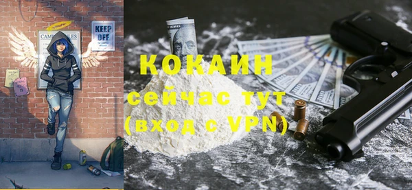 прущие грибы Аркадак